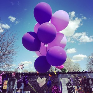 Purple balloons at the memorial fence at Paisley Park